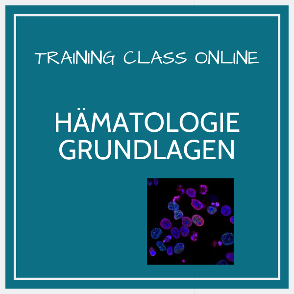 Kurscover „Training Class Online – Hämatologie Grundlagen“ mit mikroskopischer Aufnahme eingefärbter Blutzellen